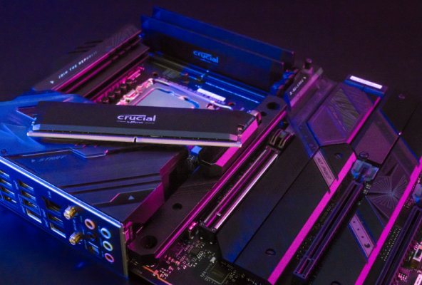 Motherboard under pink and blue light on dark surface with Crucial DDR5 Pro both installed and displayed.